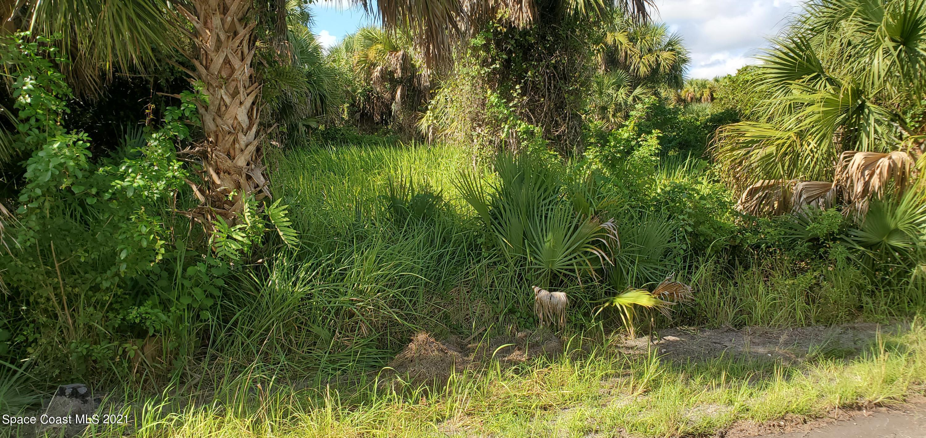 834 Sailboat St, Palm Bay, FL 32908 photo
