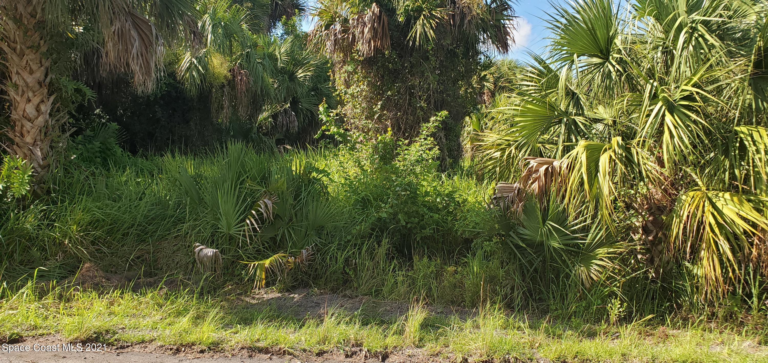 834 Sailboat St, Palm Bay, FL 32908 photo