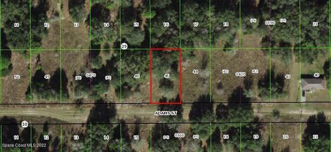 Unimproved Land in Inverness FL 2402 Adams Street.jpg