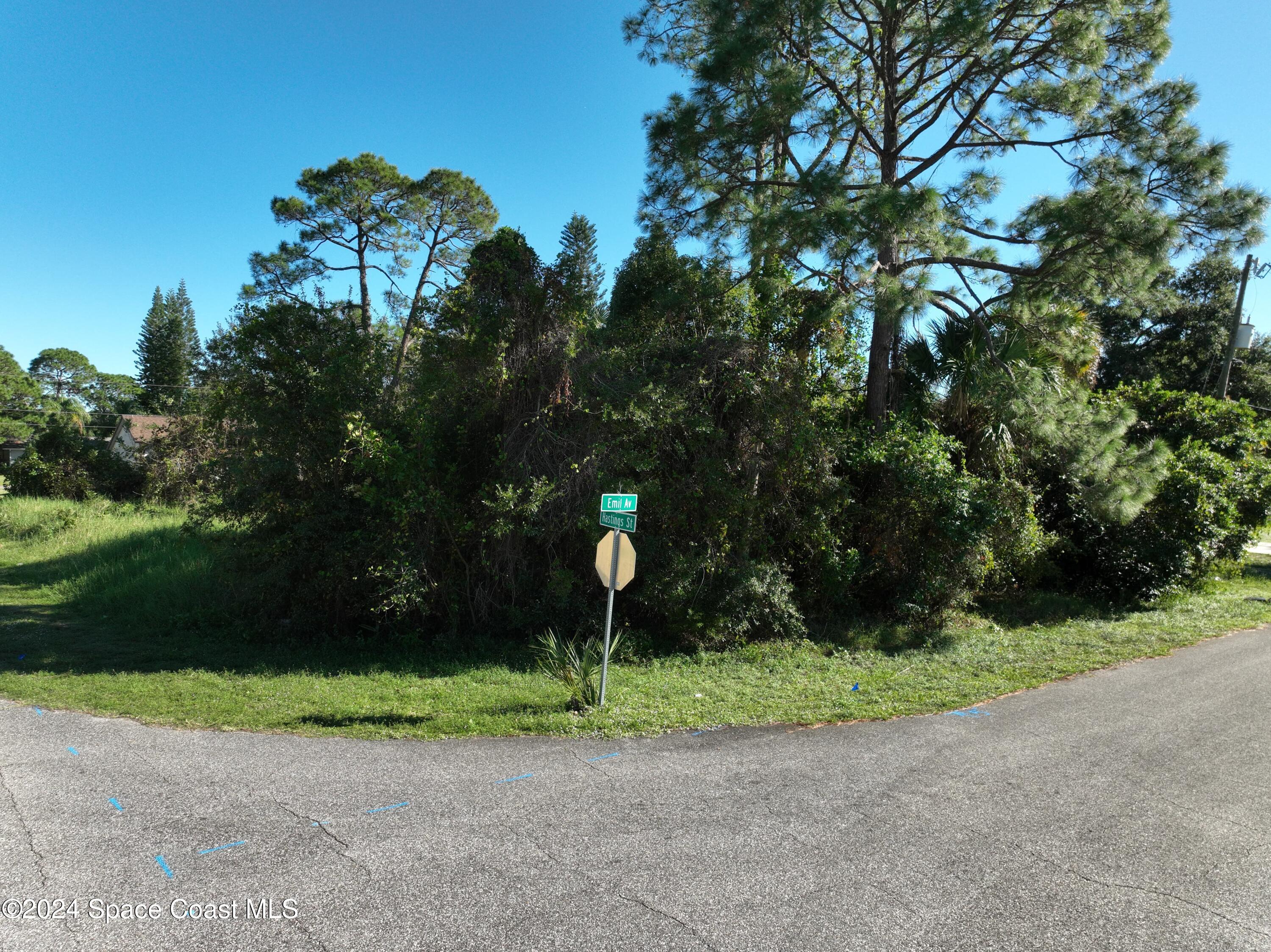 6643 Emil Ave, Port Saint Joe, FL 32927 photo