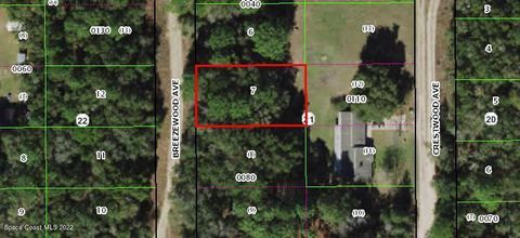 Unimproved Land in Inverness FL 806 Breezewood Avenue.jpg