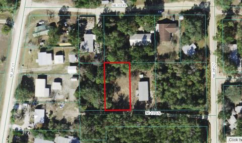 Unimproved Land in Fort McCoy FL 24905 NE 131st Lane.jpg