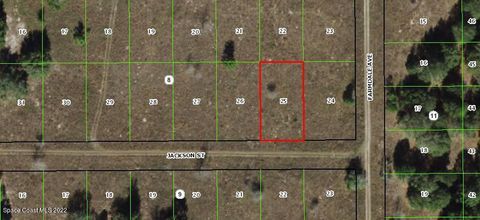 Unimproved Land in Inverness FL 2304 Jackson Street.jpg