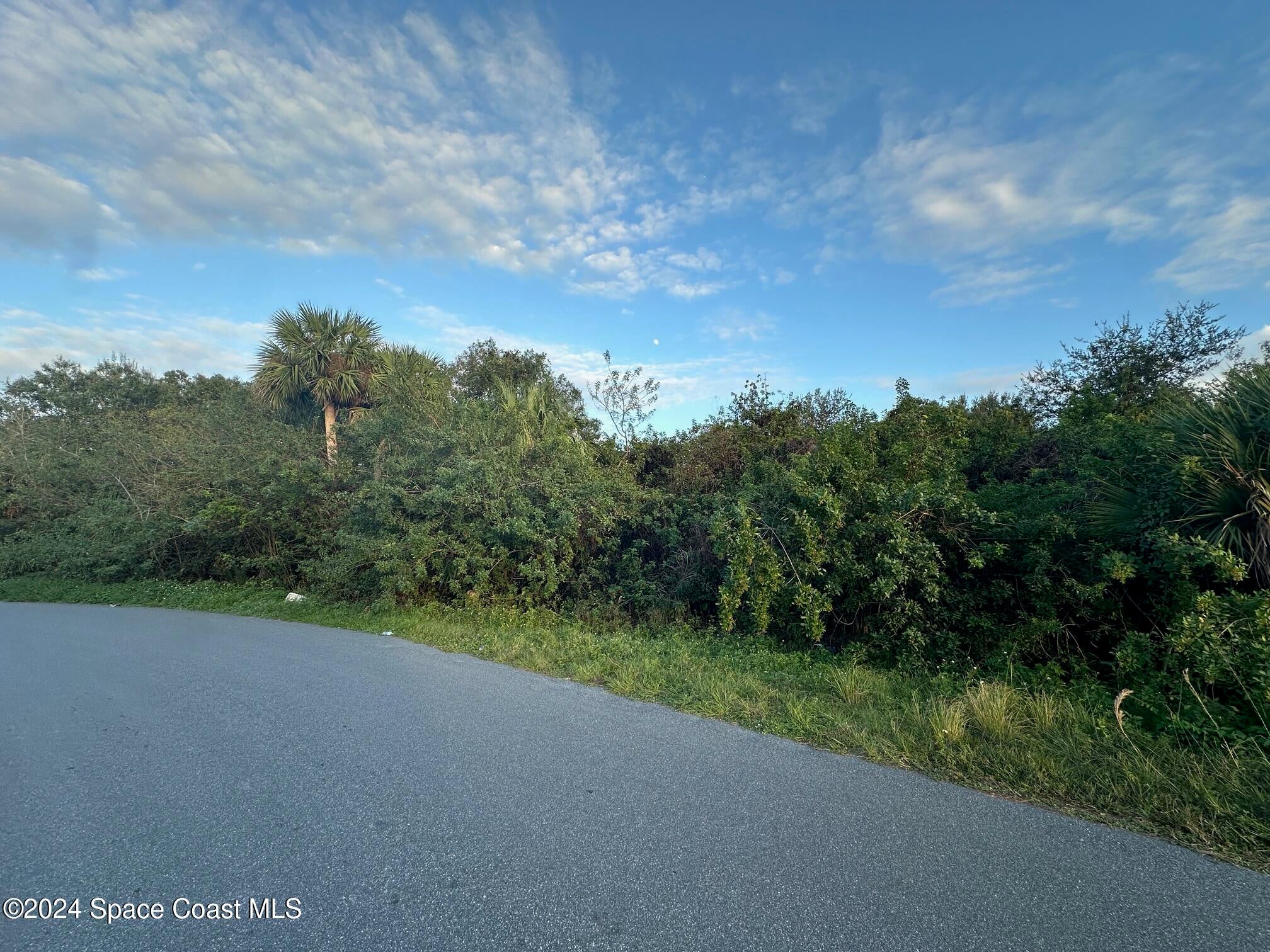 2961 Palisades Dr, Palm Bay, FL 32909 photo