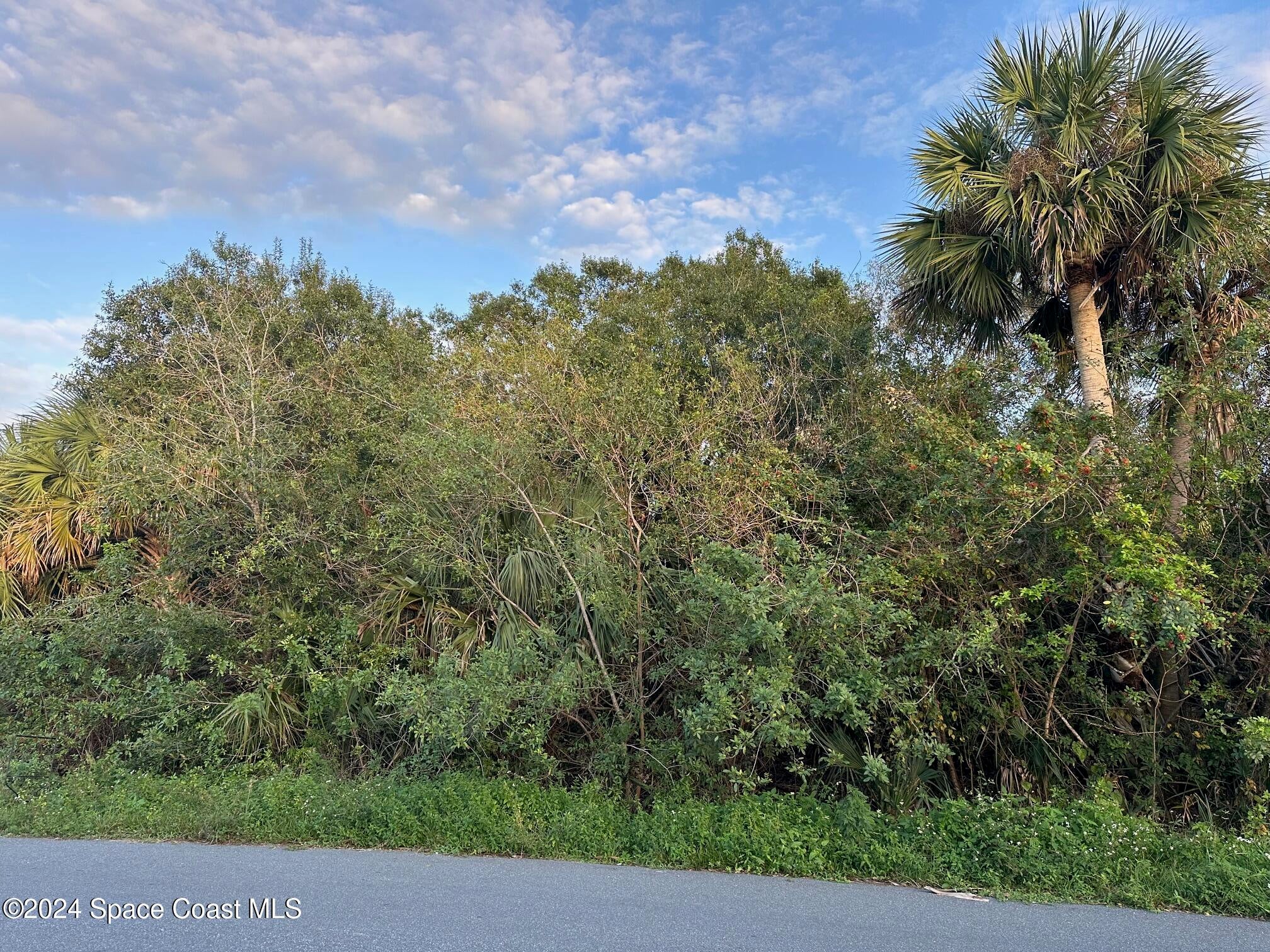 2961 Palisades Dr, Palm Bay, FL 32909 photo