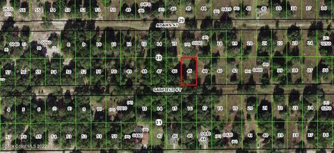 Unimproved Land in Inverness FL 2402 Garfield Street.jpg