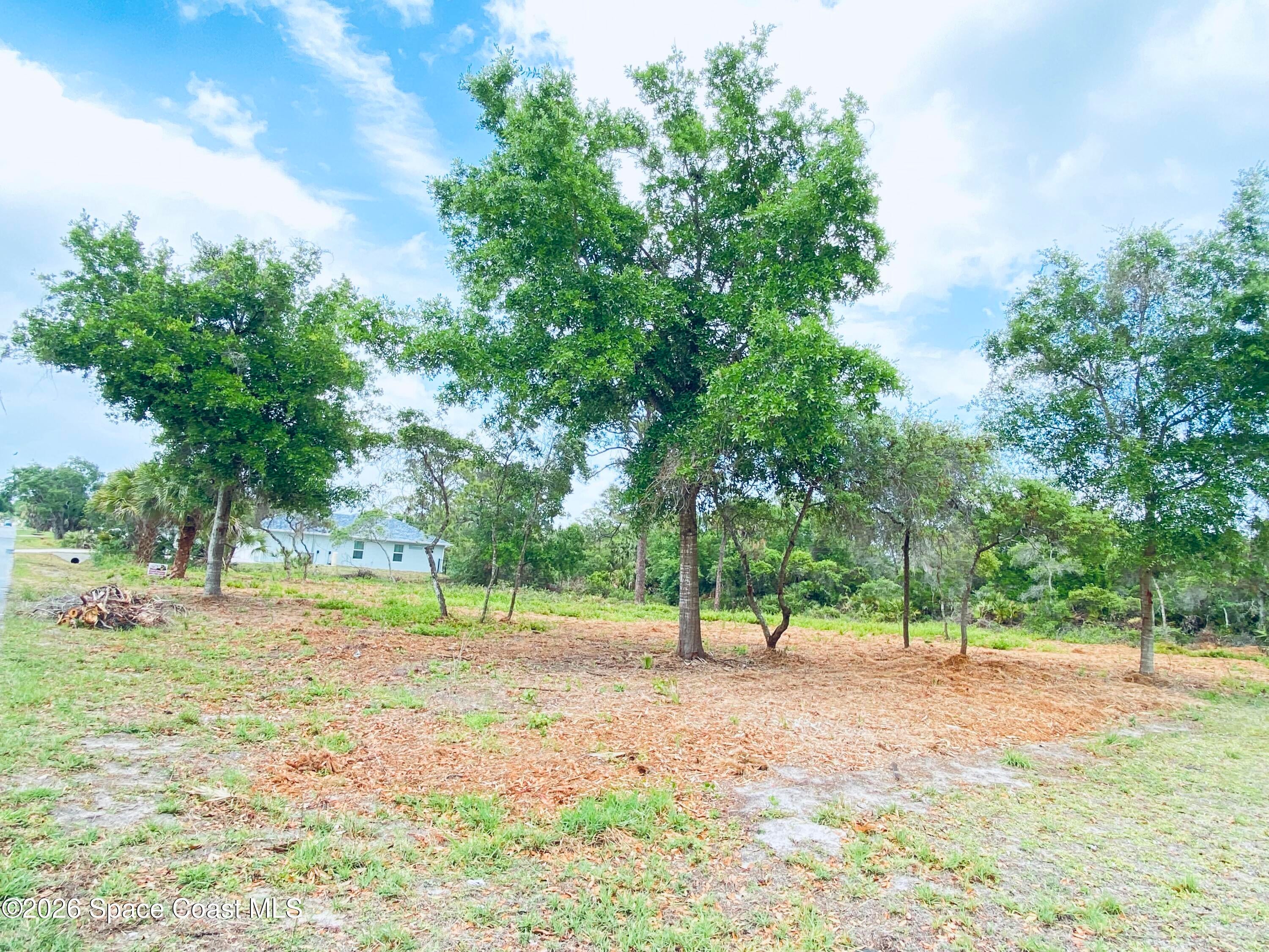 9737 Honeysuckle Dr, Micco, FL 32976 photo