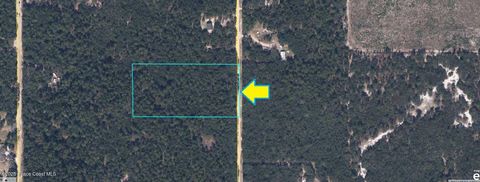 Unimproved Land in Keystone Heights FL 5499 Indian Trail.jpg