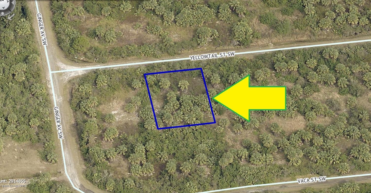 880 Yellowtail St, Palm Bay, FL 32908