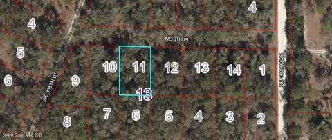Unimproved Land in  FL 0 Ne 9th Place.jpg
