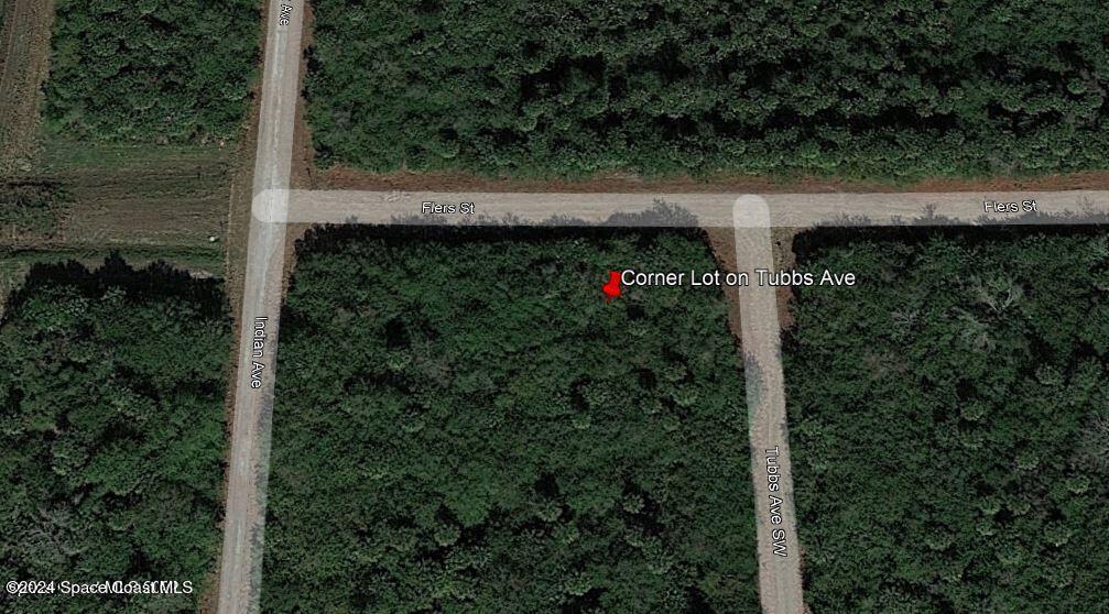 0 Tubbs Avenue And Flers St, Palm Bay, FL 32908 photo