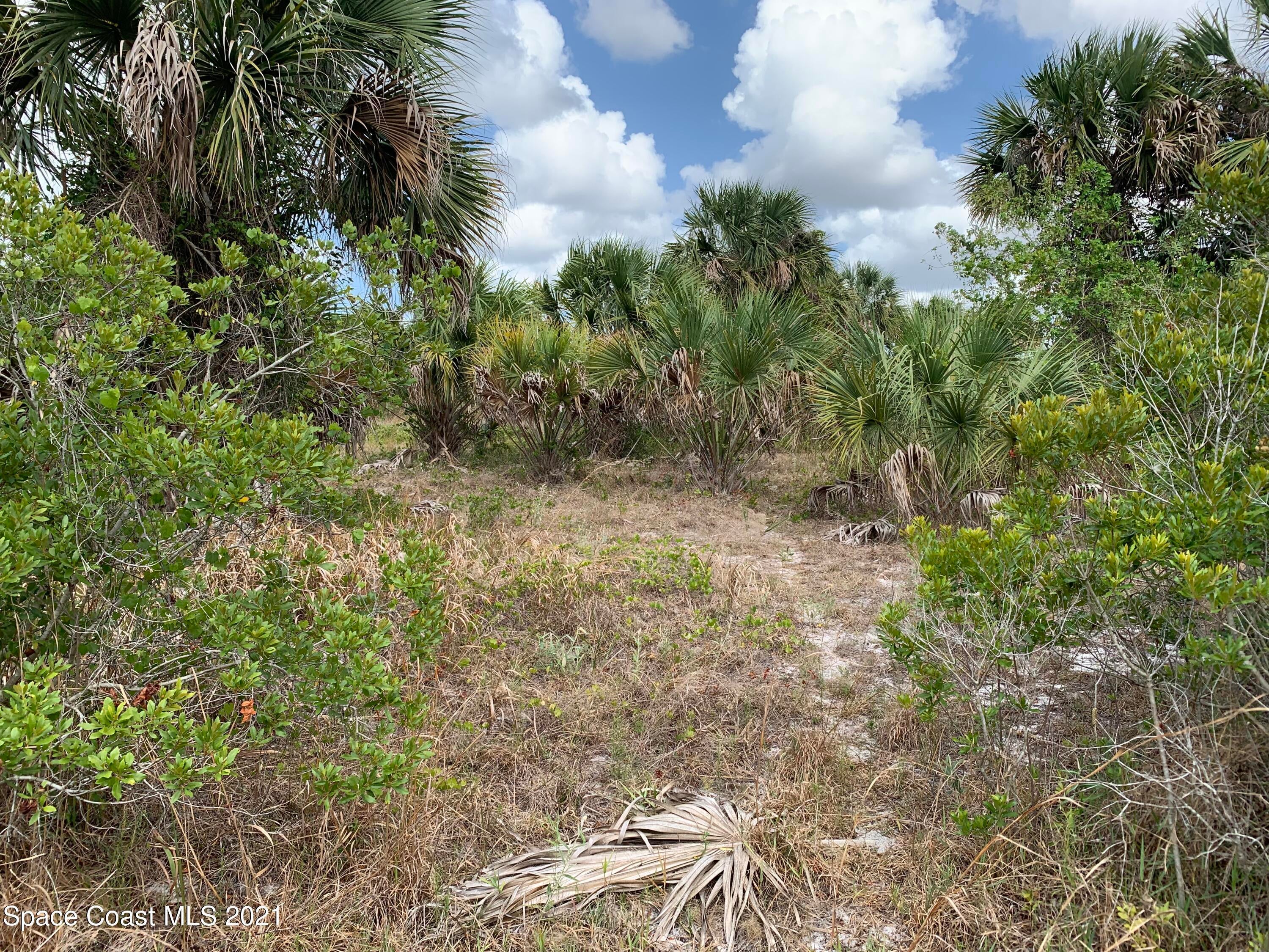 2457 Bolton Ave, Palm Bay, FL 32908