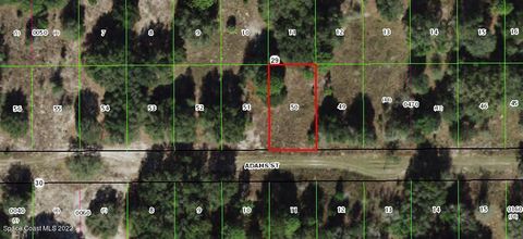 Unimproved Land in Inverness FL 2412 Adams Street.jpg