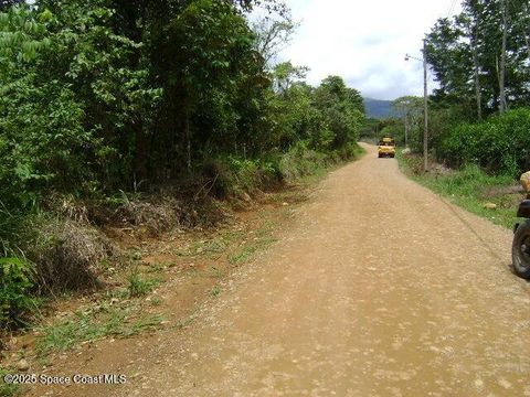 Unimproved Land in Other FL 610 Socorro Street.jpg