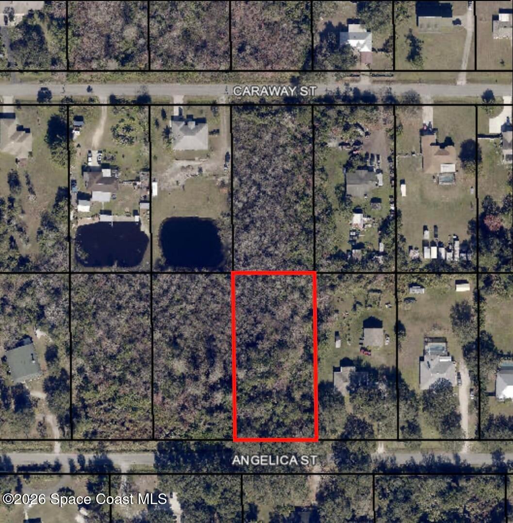 3324 Angelica St, Cocoa, FL 32926