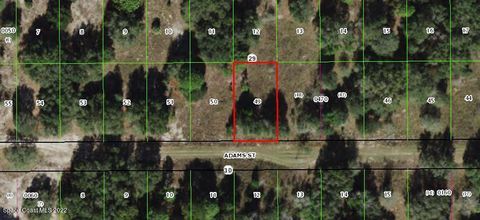 Unimproved Land in Inverness FL 2410 Adams Street.jpg