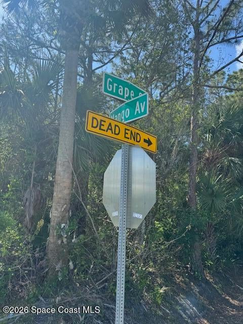 0 Grape And Mango St, Cocoa, FL 32926 photo