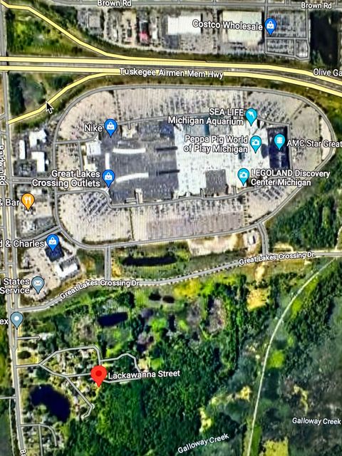  in AuburnHills_Oakland MI Lot231 Lackawanna Street.jpg