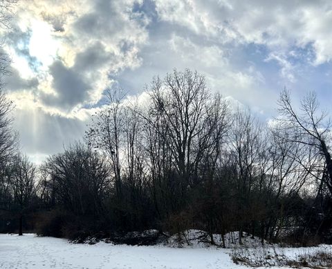  in Sumpter Twp MI 43655 BEMIS Road.jpg