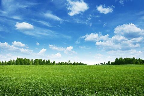 Unimproved Land in Plymouth_Washtenaw MI VACANT Five Mile Road.jpg
