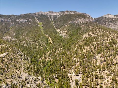  in Mount Charleston NV 4085 Cougar Ridge Trail.jpg
