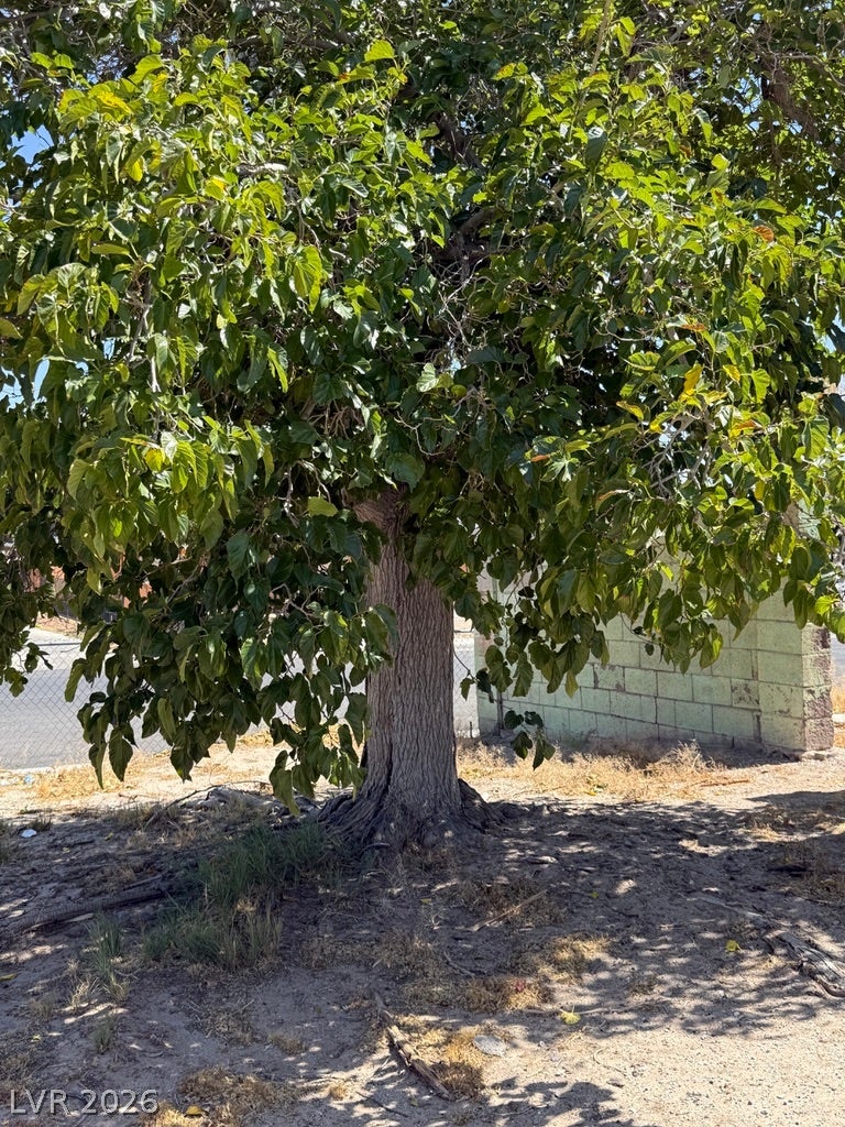 2958 Ferndale St, Las Vegas, NV 89121 photo