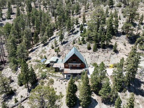 Single Family Residence in Mount Charleston NV 4730 Cougar Ridge Trail.jpg