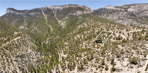  in Mount Charleston NV APN 128-07-410-001.jpg