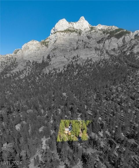  in Mount Charleston NV 2130 Via Spes Nostra Street.jpg
