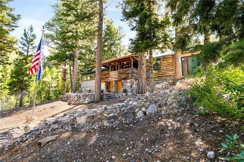 Single Family Residence in Mount Charleston NV 4075 Cougar Ridge Trail.jpg