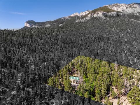  in Mount Charleston NV APN 128-07-201-017 N Fork Deer Creek.jpg