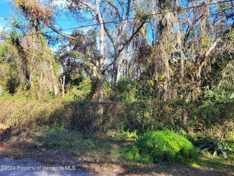 Unimproved Land in New Port Richey FL 10934 Leon Street.jpg