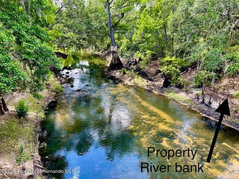 Unimproved Land in Dade City FL TBD Cortez Boulevard.jpg