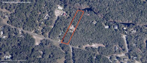 Unimproved Land in Ridge Manor FL 00 Cyril Drive.jpg