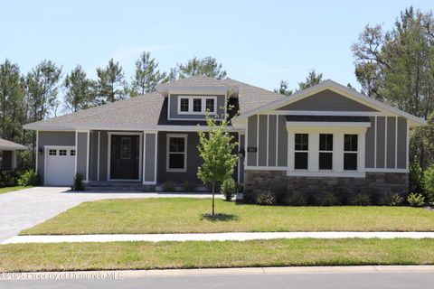 Single Family Residence in Brooksville FL 6063 Dusk Rose Lane.jpg