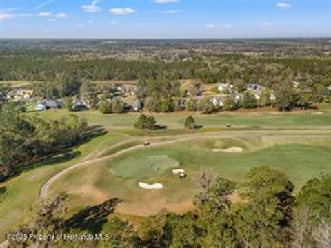 Unimproved Land in Brooksville FL 5963 Creek Ridge Road 4.jpg