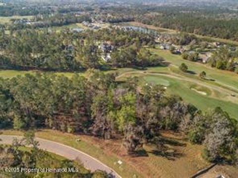 Unimproved Land in Brooksville FL 5963 Creek Ridge Road 9.jpg