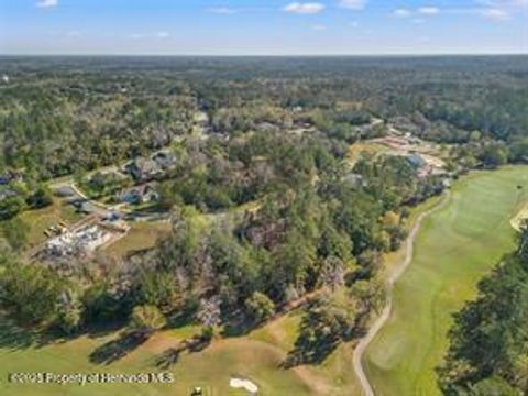 Unimproved Land in Brooksville FL 5963 Creek Ridge Road 3.jpg