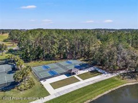 Unimproved Land in Brooksville FL 5963 Creek Ridge Road 14.jpg