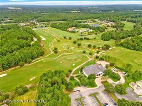 Unimproved Land in Brooksville FL 5963 Creek Ridge Road 11.jpg
