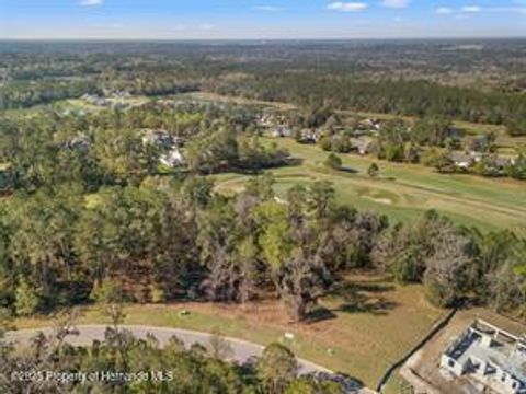 Unimproved Land in Brooksville FL 5963 Creek Ridge Road 6.jpg
