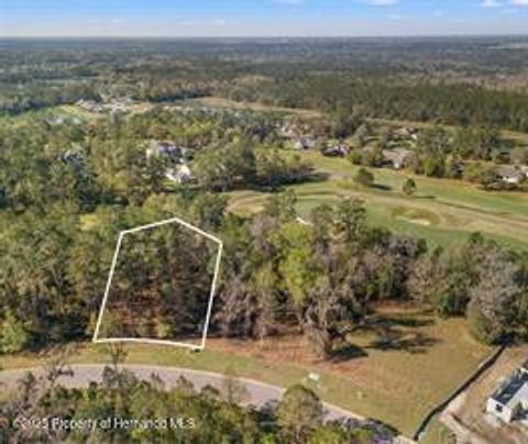 Unimproved Land in Brooksville FL 5963 Creek Ridge Road 5.jpg