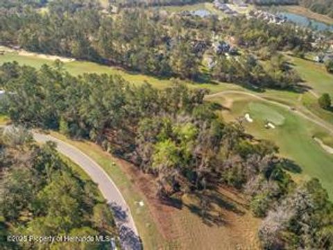 Unimproved Land in Brooksville FL 5963 Creek Ridge Road 8.jpg