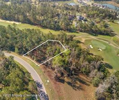 Unimproved Land in Brooksville FL 5963 Creek Ridge Road.jpg