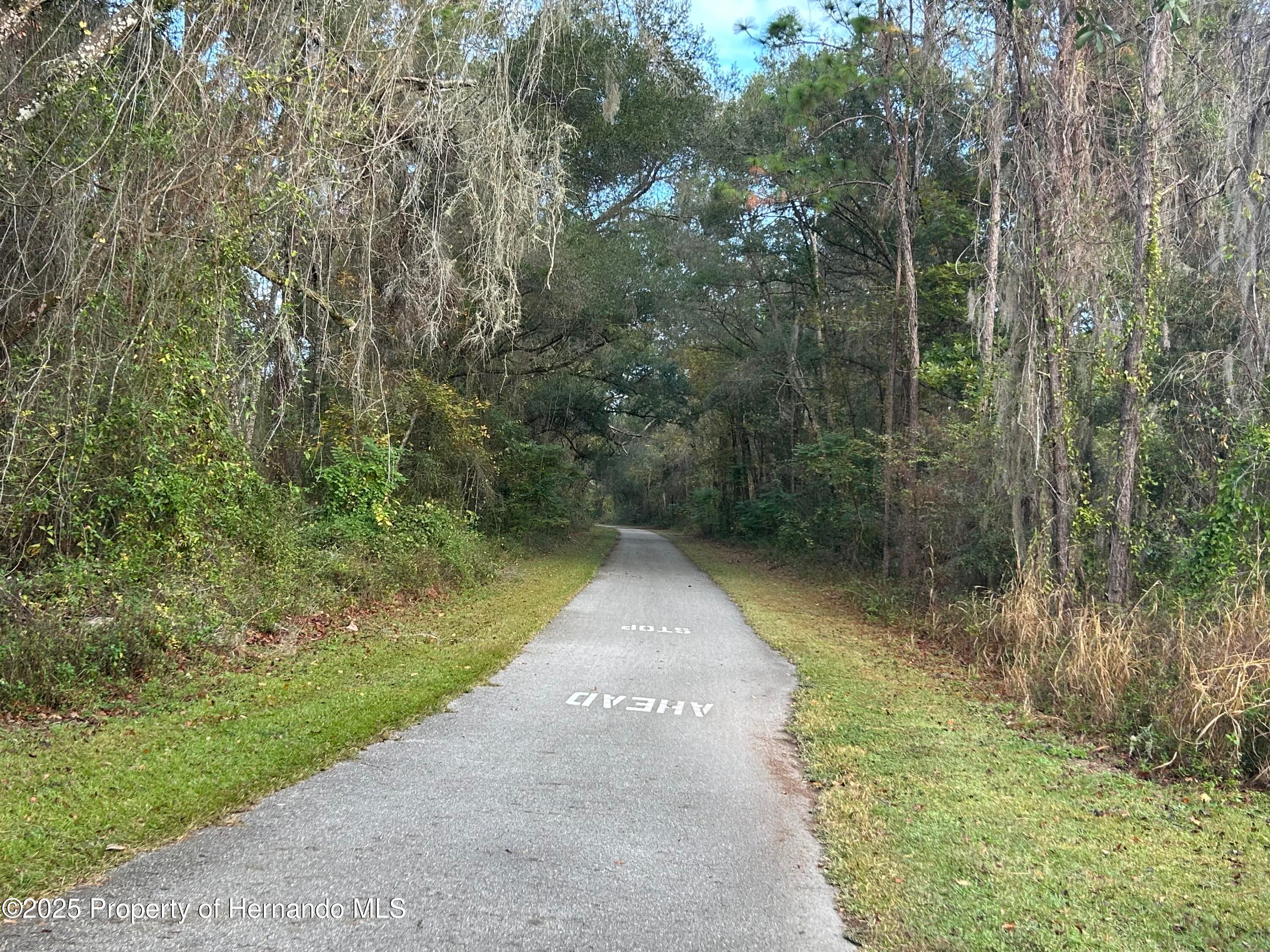 7209 W County Road 651, Bushnell, FL 33513 photo