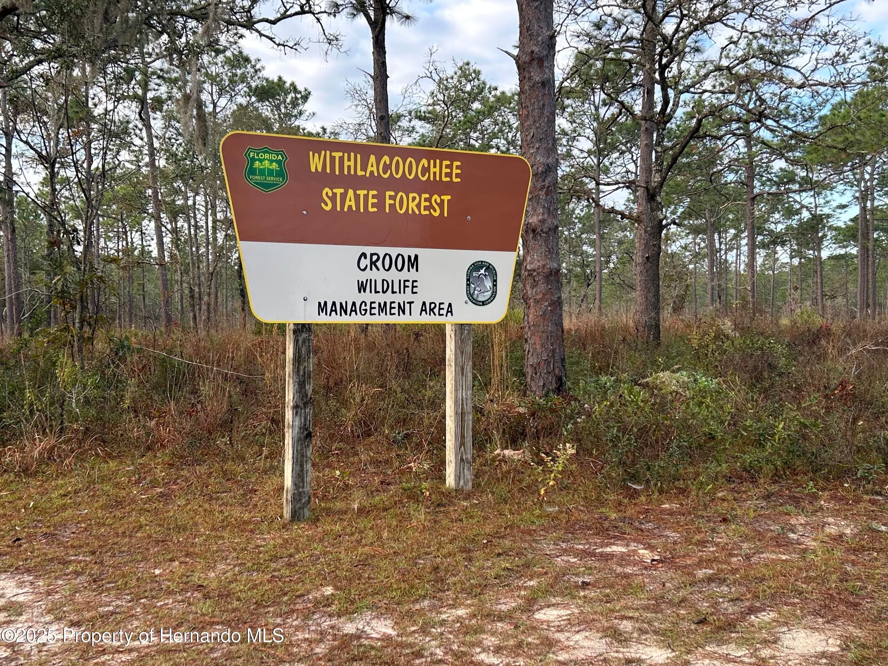 7209 W County Road 651, Bushnell, FL 33513 photo