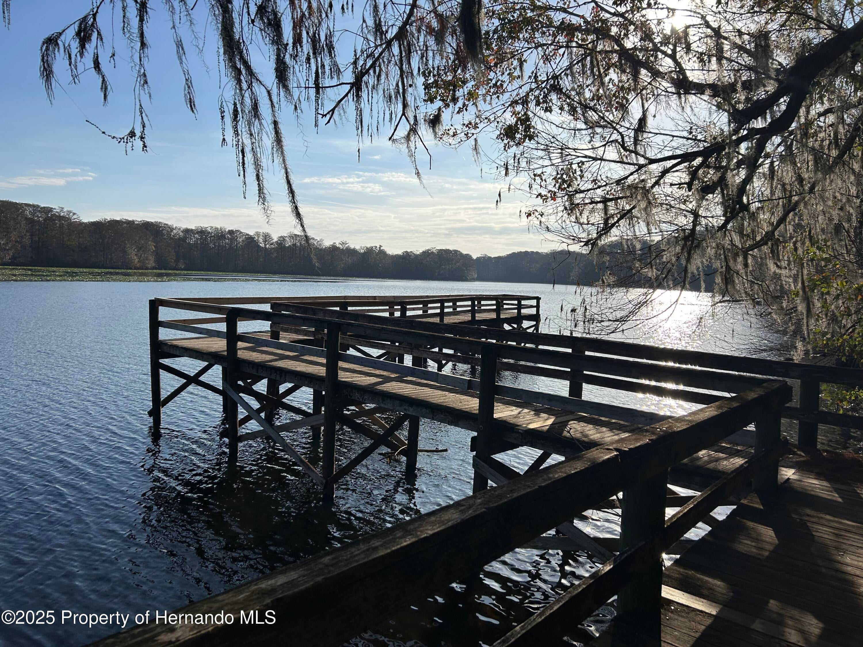 7209 W County Road 651, Bushnell, FL 33513 photo