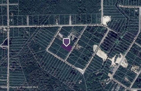 Unimproved Land in Webster FL 0 Little Stone.jpg