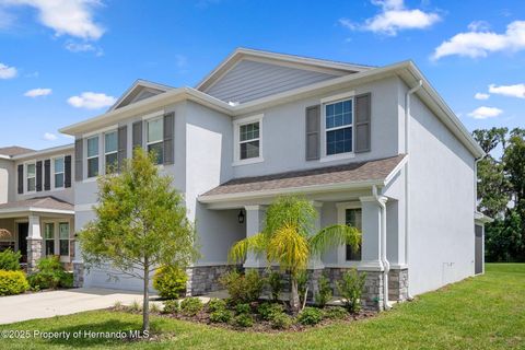 Single Family Residence in Dade City FL 13919 Wineberry Drive.jpg