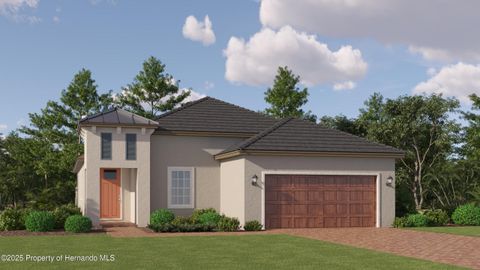 Single Family Residence in Land O' Lakes FL 16977 WARM HAND Court.jpg